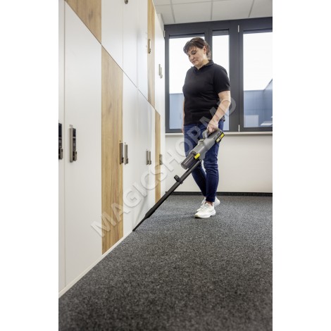 Aspirator cu acumulator LVS 1/1 Bp